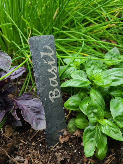 Plant Markers for Gardening